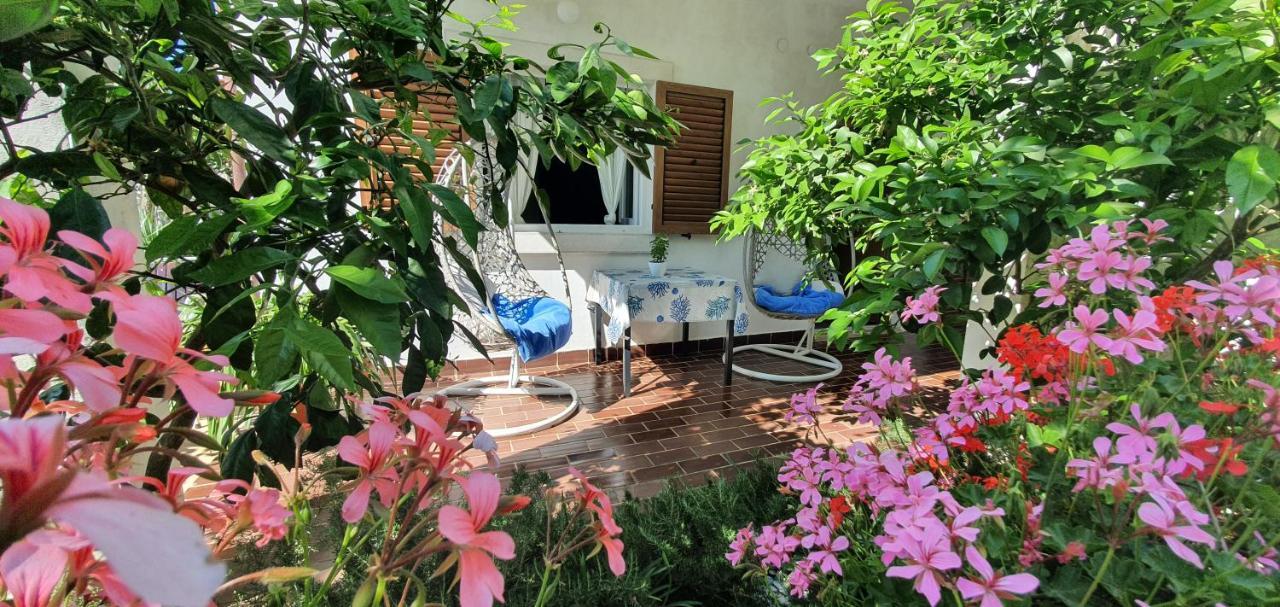 New!!! New Riva Luxury One - With Sunny Terrace & Big Garden Apartment Porec Luaran gambar