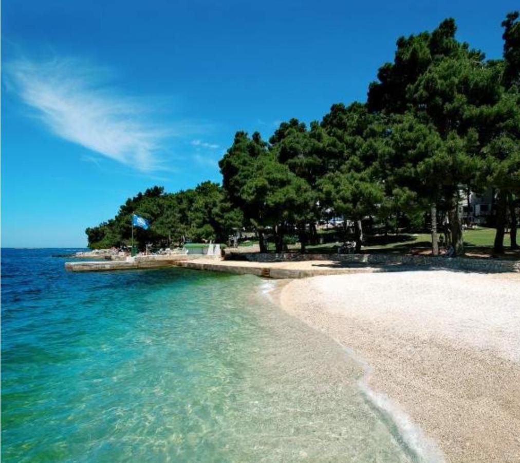 New!!! New Riva Luxury One - With Sunny Terrace & Big Garden Apartment Porec Luaran gambar